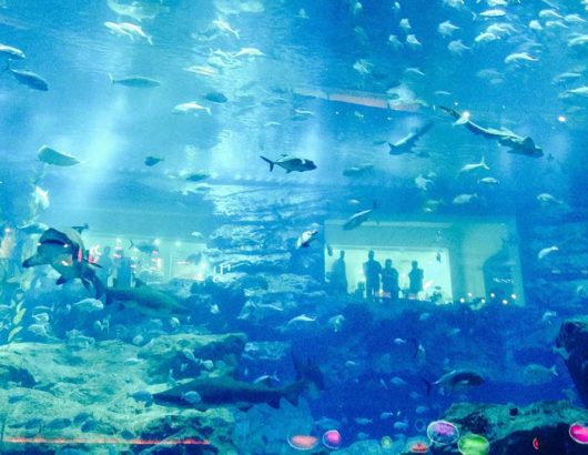 Dubai Aquarium