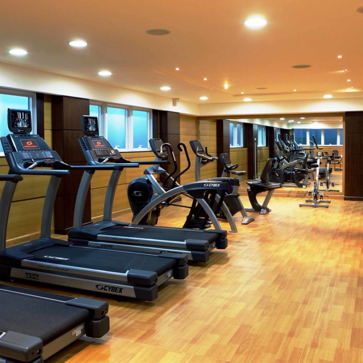 Park Regis Kris Kin Gym